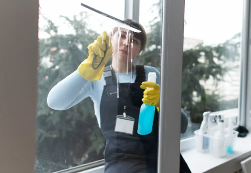 Nettoyage de vitres intérieures et extérieures à Saint-Pierre-d'Eyraud